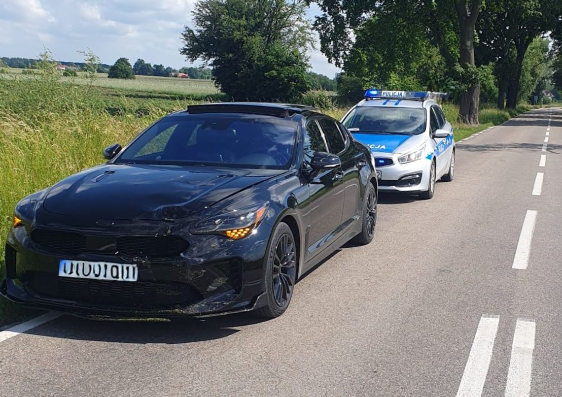 Zdarzenie z sarną