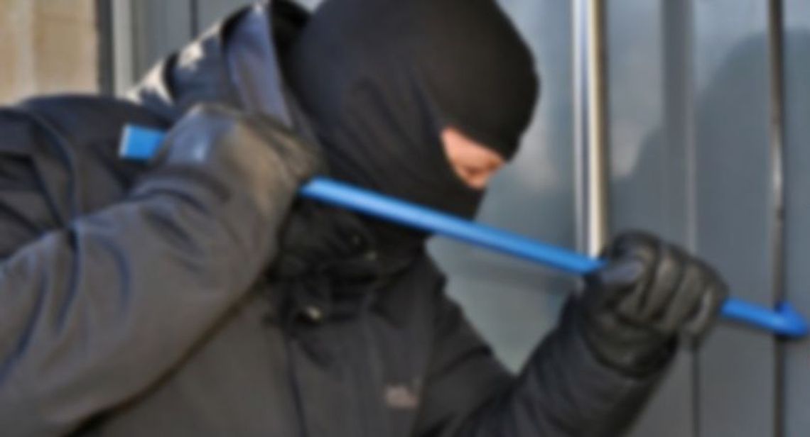 Złodzieje znowu w akcji!
