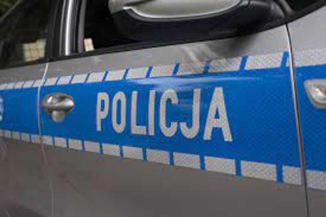 Znieważyła i naruszyła nietykalność cielesną policjantów