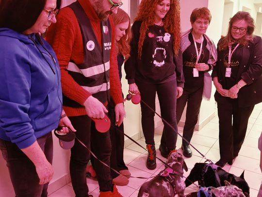 Pułtuski finał Wielkiej Orkiestry Świątecznej Pomocy - fotogaleria